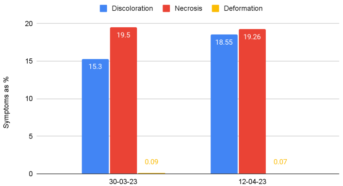 Data-Driven Insights